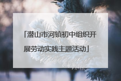 潜山市河镇初中组织开展劳动实践主题活动