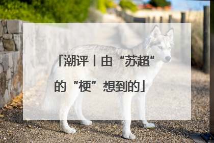 潮评丨由“苏超”的“梗”想到的
