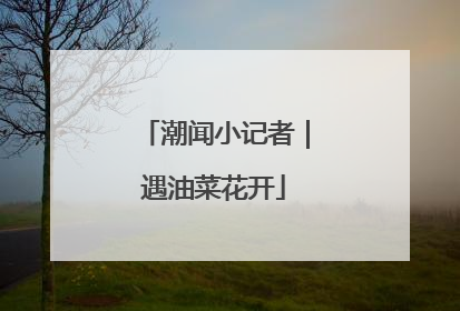 潮闻小记者｜遇油菜花开