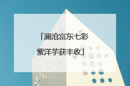澜沧富东七彩紫洋芋获丰收