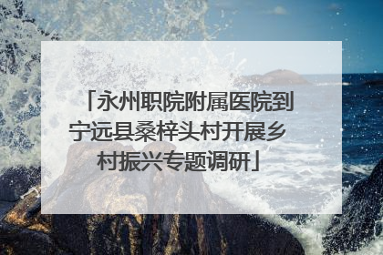 永州职院附属医院到宁远县桑梓头村开展乡村振兴专题调研