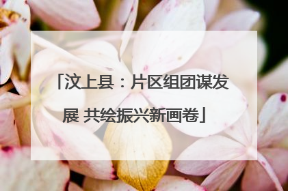 汶上县：片区组团谋发展 共绘振兴新画卷