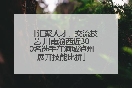 汇聚人才、交流技艺 川南渝西近300名选手在酒城泸州展开技能比拼