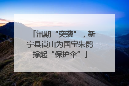 汛期“突袭”，新宁县崀山为国宝朱鹮撑起“保护伞”