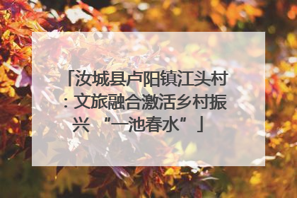 汝城县卢阳镇江头村：文旅融合激活乡村振兴 “一池春水”
