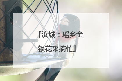 汝城：瑶乡金银花采摘忙