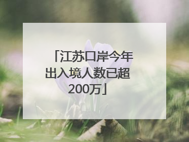 江苏口岸今年出入境人数已超200万