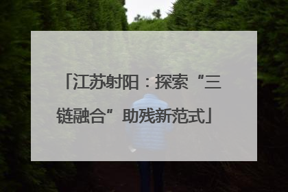 江苏射阳：探索“三链融合”助残新范式