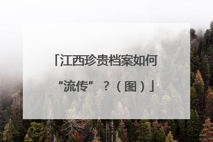 江西珍贵档案如何“流传”？（图）