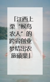 江西上栗“候鸟农人”的跨省创业梦结出农旅硕果