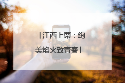 江西上栗：绚美焰火致青春