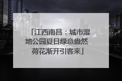 江西南昌：城市湿地公园夏日绿意盎然 荷花渐开引客来