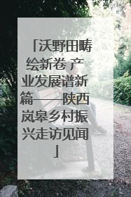 沃野田畴绘新卷 产业发展谱新篇——陕西岚皋乡村振兴走访见闻