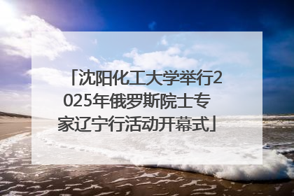 沈阳化工大学举行2025年俄罗斯院士专家辽宁行活动开幕式
