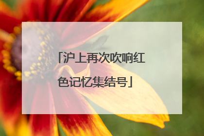 沪上再次吹响红色记忆集结号