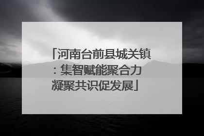 河南台前县城关镇：集智赋能聚合力 凝聚共识促发展