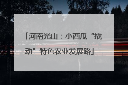 河南光山：小西瓜“撬动”特色农业发展路