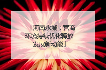 河南永城：营商环境持续优化释放发展新动能