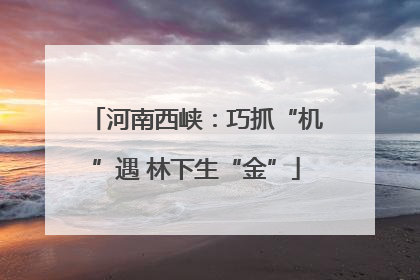 河南西峡：巧抓“机”遇 林下生“金”
