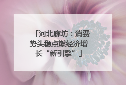 河北廊坊：消费势头稳点燃经济增长“新引擎”