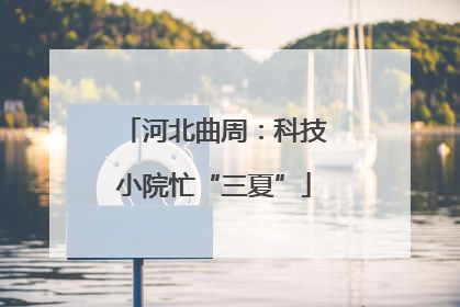 河北曲周：科技小院忙“三夏”