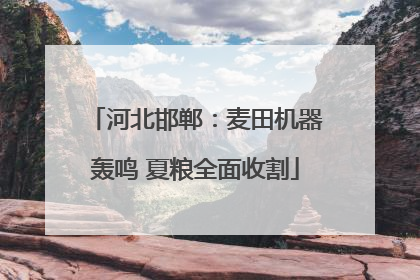 河北邯郸：麦田机器轰鸣 夏粮全面收割