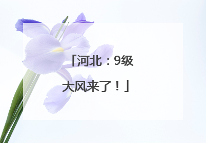 河北：9级大风来了！