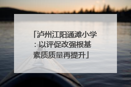 泸州江阳通滩小学：以评促改强根基 素质质量再提升
