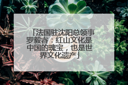 法国驻沈阳总领事罗毅睿：红山文化是中国的瑰宝，也是世界文化遗产
