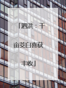 泗洪：千亩茭白喜获丰收