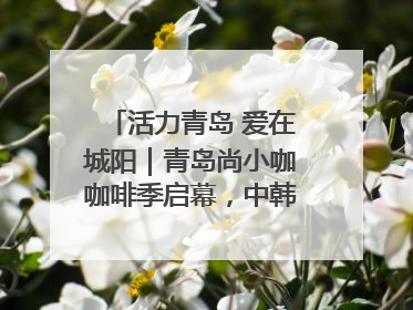 活力青岛 爱在城阳｜青岛尚小咖咖啡季启幕，中韩消费新场景点燃夏日热情