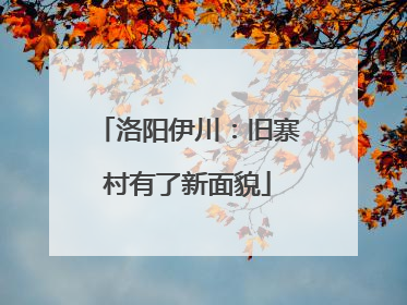 洛阳伊川：旧寨村有了新面貌