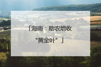 海南：助农增收 “黄金叶”