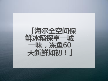 海尔全空间保鲜冰箱探享一城一味，冻鱼60天新鲜如初！