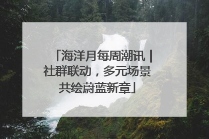 海洋月每周潮讯｜社群联动，多元场景共绘蔚蓝新章