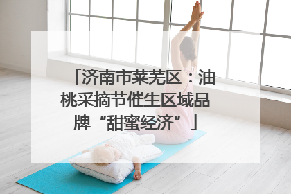 济南市莱芜区：油桃采摘节催生区域品牌“甜蜜经济”