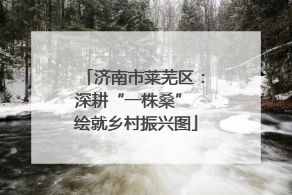 济南市莱芜区：深耕“一株桑” 绘就乡村振兴图
