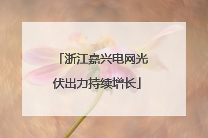 浙江嘉兴电网光伏出力持续增长