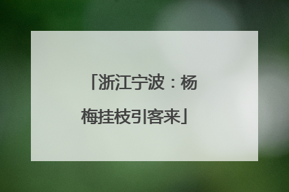 浙江宁波：杨梅挂枝引客来