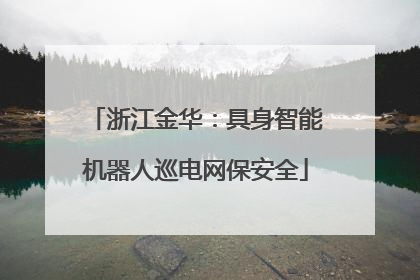 浙江金华：具身智能机器人巡电网保安全