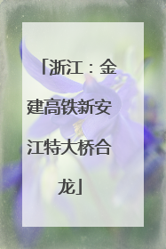 浙江：金建高铁新安江特大桥合龙