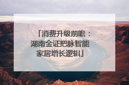 消费升级前瞻：湖南金证把脉智能家居增长逻辑