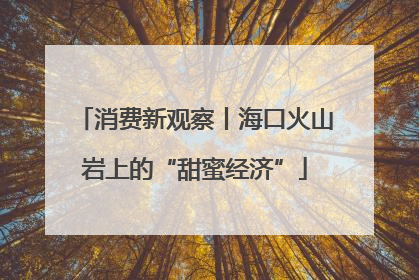 消费新观察丨海口火山岩上的“甜蜜经济”