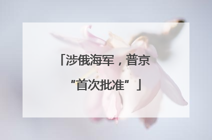 涉俄海军，普京“首次批准”