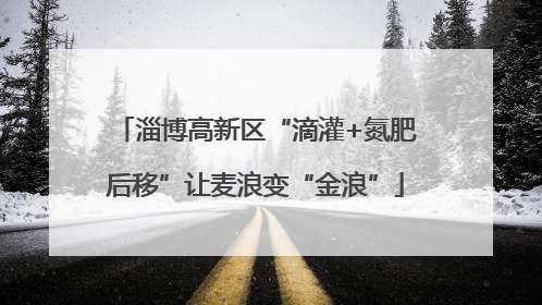 淄博高新区“滴灌+氮肥后移”让麦浪变“金浪”