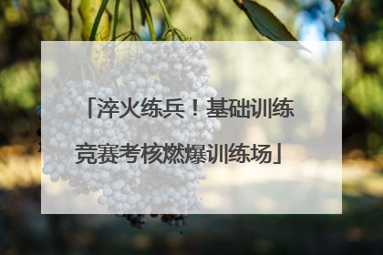 淬火练兵！基础训练竞赛考核燃爆训练场