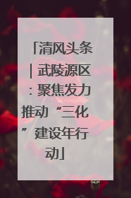 清风头条｜武陵源区：聚焦发力推动“三化”建设年行动