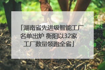 湖南省先进级智能工厂名单出炉 衡阳以32家工厂数量领跑全省
