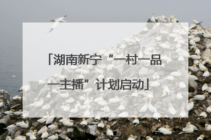 湖南新宁“一村一品一主播”计划启动