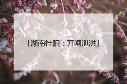 湖南桂阳：开闸泄洪